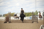 SBM_14537