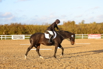SBM_003361
