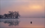 Rising Mist