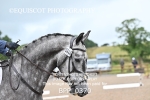 BPP_0370