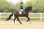 SBM_002655