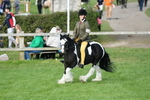 SBM_51867