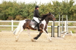 SBM_007231