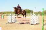 SBM_000570