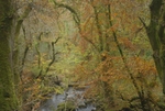 Parc yr Ocar
