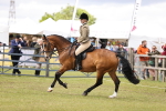 SBM_14570