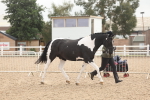 SBM_02079