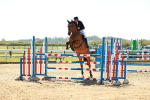 SBM_001697