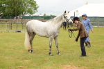 SBM_04201