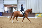 SBM_001775
