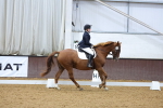 SBM_001373
