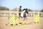 SBM_000503