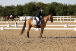 SBM_007036