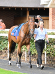 220826-177 Mr Hollywood
