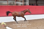 JAC_5332