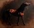 KAUTO STAR
