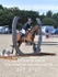 BPP_9790