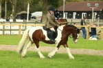 SBM_68229