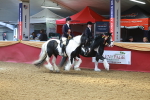 SBM_15017