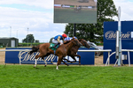 010826-Race 3-Brighton Beach-2721
