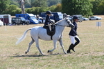 WJ6_7768