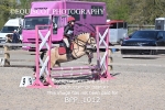 BPP_1012
