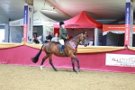 SBM_06363