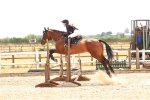 SBM_004337