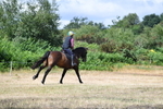 WJ5_8965