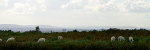 Ashdown Forest 14