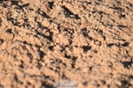260423-181940-08055