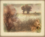 102 Mini-canvas 5 