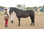 SBM_07871