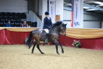 SBM_23381