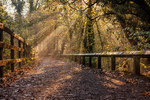 Yarrow Valley Country Park