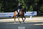 301-JET_FIGHTER-Harry_Meade-WEDTrotUp+DR portfolio
