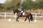 SBM_009651