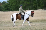WJ7_7566