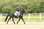 SBM_002987