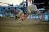 3HRodeo_PBR_TEAMS_JUL_2026_0063