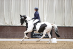 SBM_001831