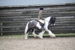 SBM_007958