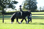 SBM_36723