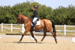 SBM_009442