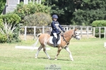 Cls 9,10 & 11 Dressage portfolio