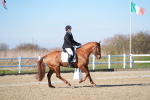 SBM_003371