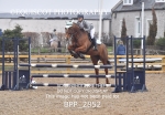 BPP_2852