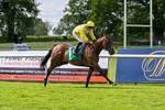 Race 5 16.10pm Ruby Lodge Care Home In Thirsk Handicap portfolio