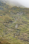 Peris Horseshoe-54