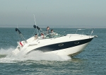 081012 MAXUM 8CDX1603
